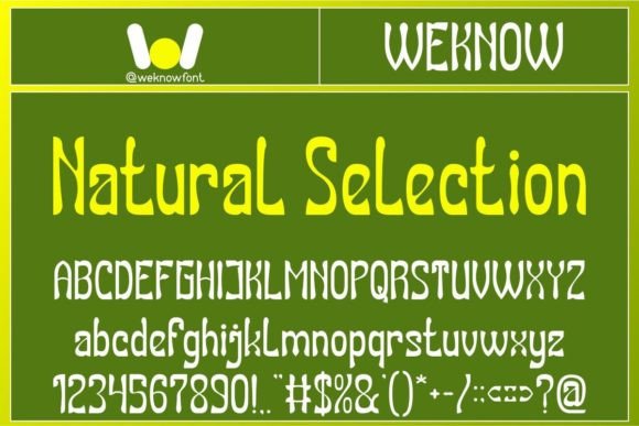 Natural Selection Font Review: A Designer's Take on Gothic Modernity